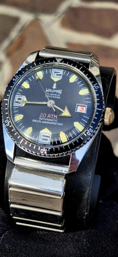 Waldman diver atm calendar - diver, 20