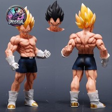 Dragon Ball Z - Training