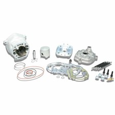 MALOSSI M3112988 CILINDRO