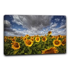 Niik Quadro campo di girasoli