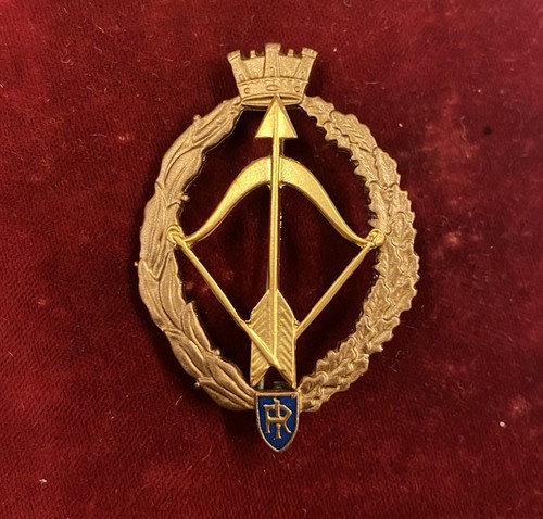 3353 distintivo di volo - 3353, r.i.