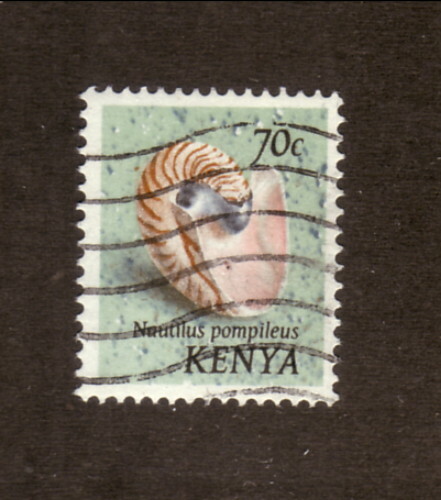 Kenya 1971 usato guscio - 1971,