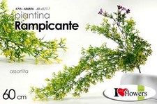 PIANTA PIANTINA FINTA
