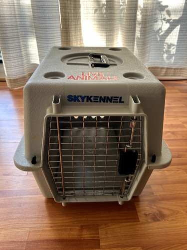 Sky kennel per aereo - sky,