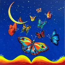 Volo cielo stellato - volo, su