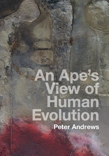 Ape view of human - an,