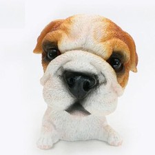 Bulldog cane testa bobbing