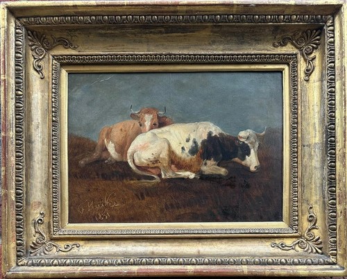 Josef heicke mucche - josef, riposo