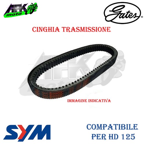 Cinghia trasmissione gates - di,