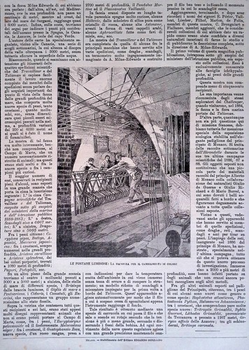 Stampa del 1889 fontane - stampa, le