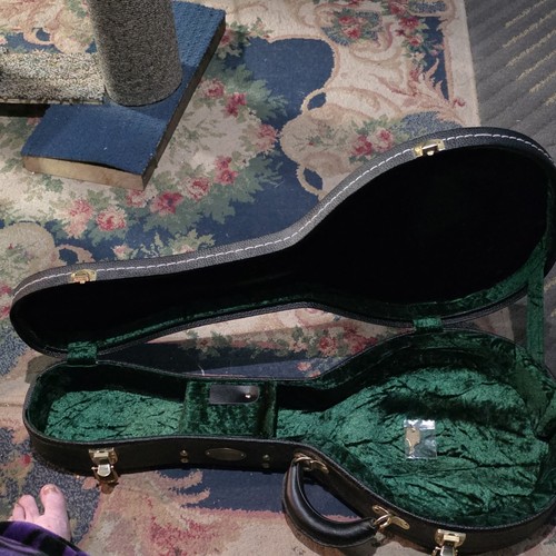 Mandolino elettrico vintage