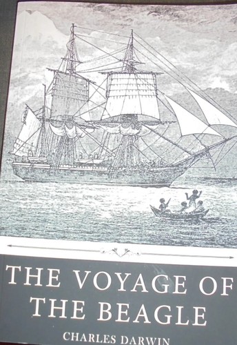 The voyage - voyage,
