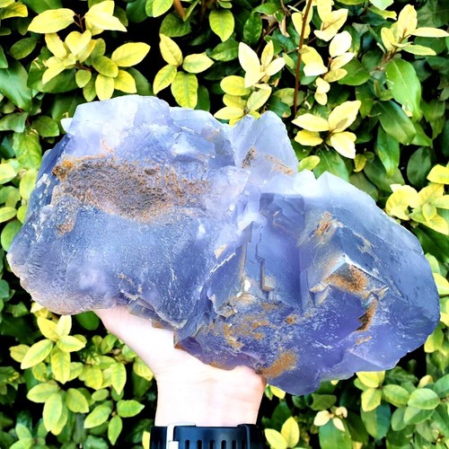 Fluorite violette el hammam - fluorite,