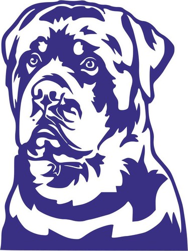 Cane dog stikers adesivo - cane, stikers-adesivo