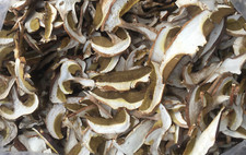 FUNGHI PORCINI SECCHI BUSTA DA