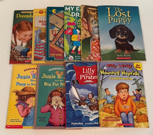 Chapter books junie - books,