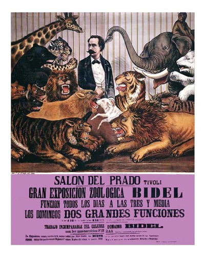 Poster vintage con animali - , da