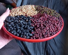 Piatto composizione natalizia