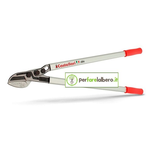 Troncarami professionale