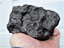 QUALITÀ MUSEALE! ESEMPLARE