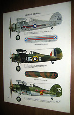 SCHEDA AEROMODELLISMO GLOSTER GLADIATOR con breve storia aereo - Vintage