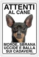 PINSCHER Attenti al cane morde sbrana uccide e balla sui cadaveri 15x20