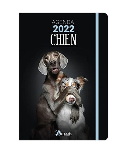 Agenda chien 2022 artémis - agenda, 2022,