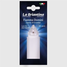 Lumino Elettrico Ricambio