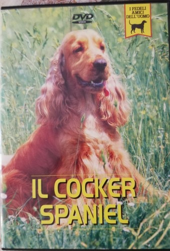 Dvd cocker spaniel - cocker,