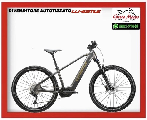 Bici elettrica ebike - elettrica,