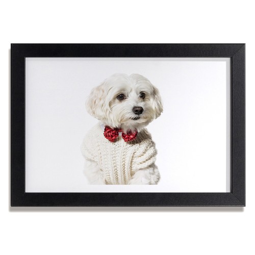 Tulup picture mdf framed - tulup, wall