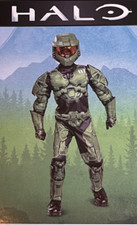 Disguise Halo Infinite Master