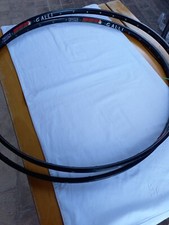Galli freccia vallone - galli, coppia