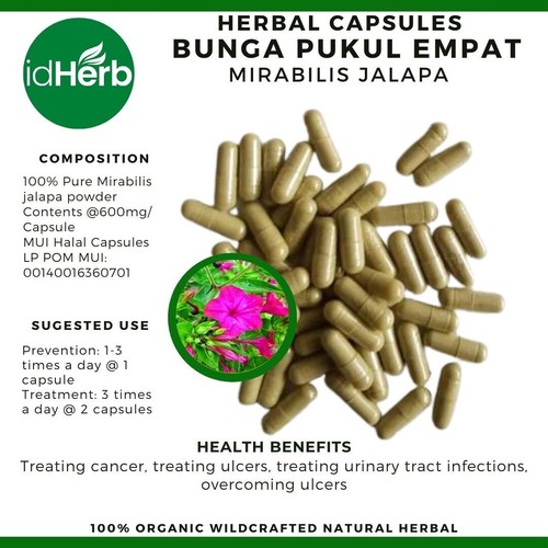 Capsule mirabilis jalapa - capsule,