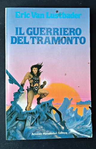 Guerriero del tramonto - guerriero,