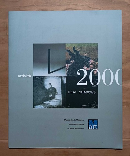 Attività 2000 museo arte - attività, 2000: