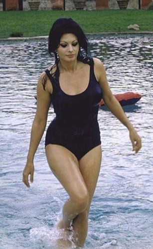 Foto sophia loren ritratto - sophia,