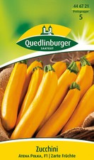 Semi di Polka Atena gialla di