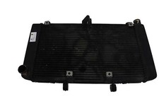 Radiatore acqua honda hornet - radiatore,