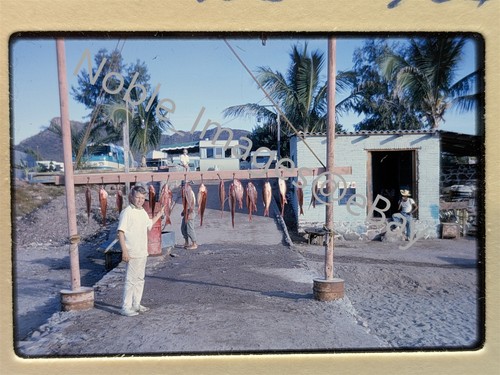 1965 port scene boy - scene,