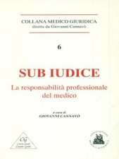 SUB IUDICE. LA RESPONSABILITÀ