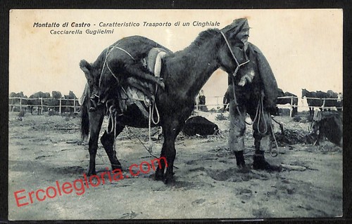 Ak6726 cartolina epoca - ak6726,