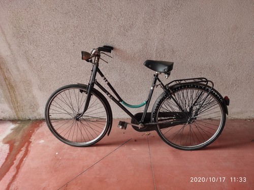 Ardita bici donna