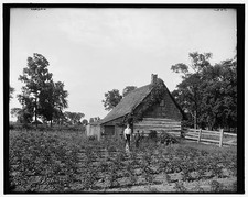 Photo:Log cabin,farms,Rio