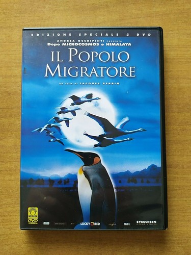 Dvd bambini adulti il - e, "il