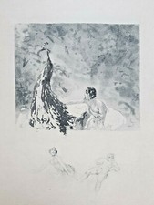 Paon Donna Curiosa Erotica