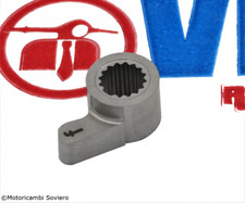 Levettina interna Carter