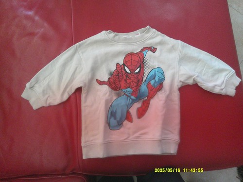 Felpa spiderman bambino 24 - bambino, 18/24