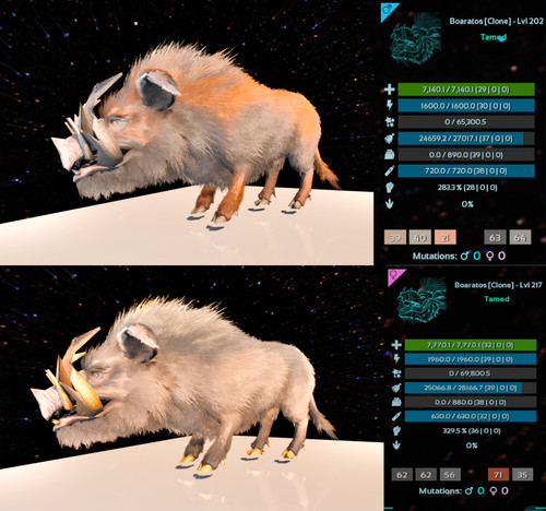Ark survival ascended - survival,