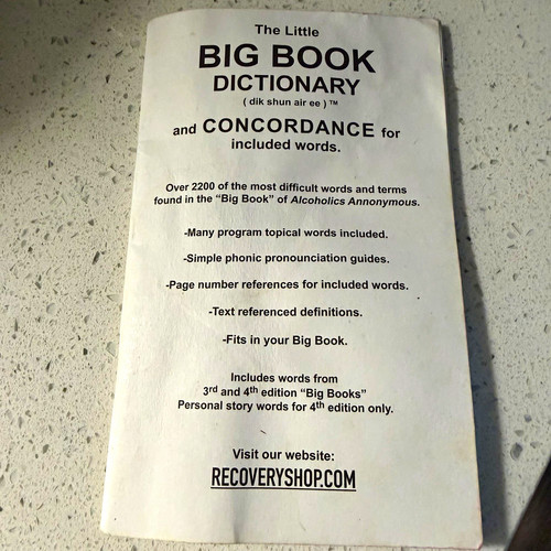 The little big book dictionary - book,